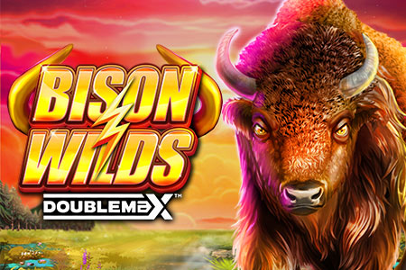 Bison Wilds DoubleMax